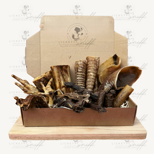 Gentle Explorer Pack