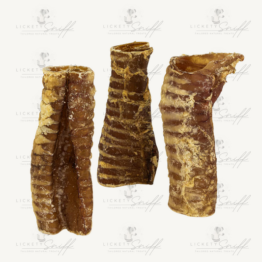 Cut Beef Trachea (Gullet)