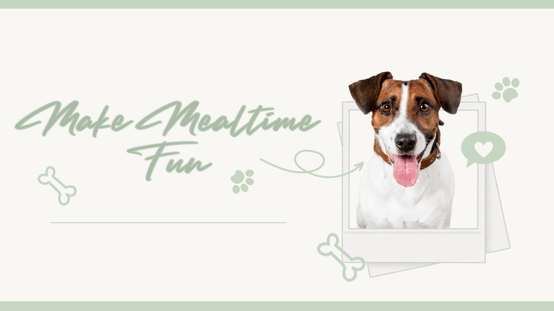 Make Mealtime Fun: Dog Feeding Enrichment Ideas for Happier Pets 🐕