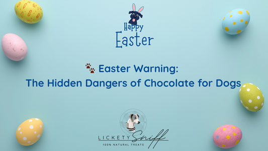 🐾 Easter Warning: The Hidden Dangers of Chocolate for Dogs