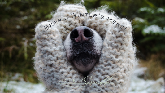 🐾 Preparing Your Dog for the Colder Months: A Complete Guide for Pet Parents