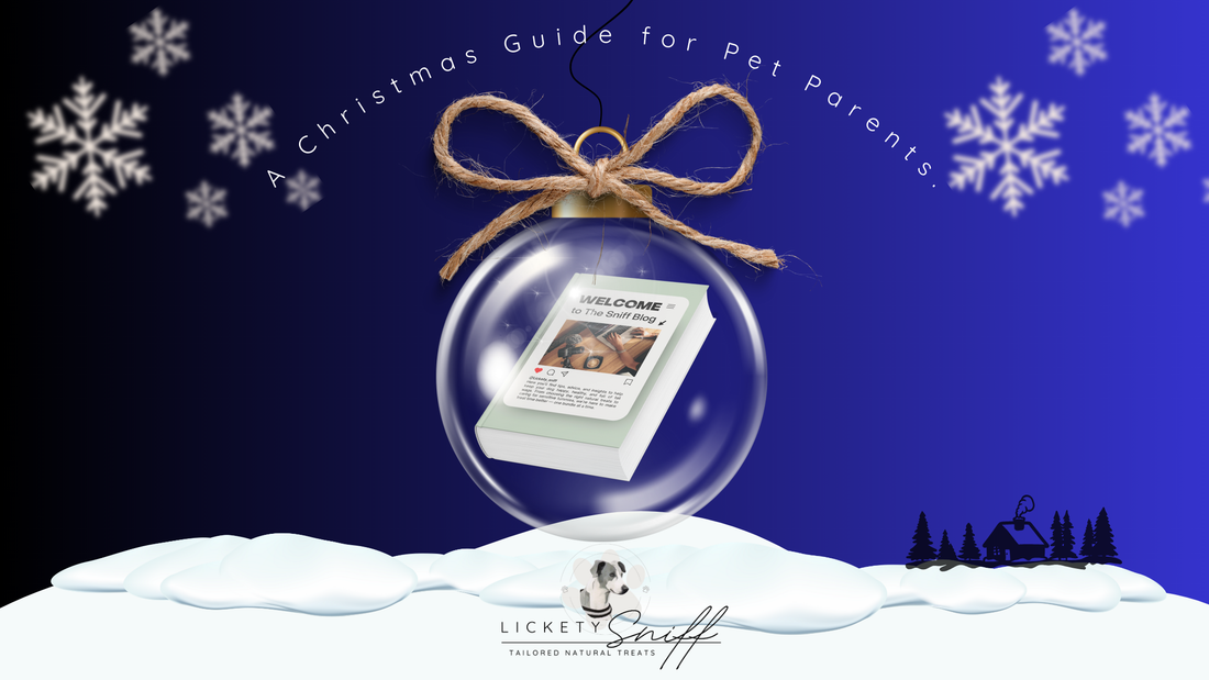 🐶 A Stress-Free Christmas for Your Dog: Tips to Keep Tails Wagging All Season!