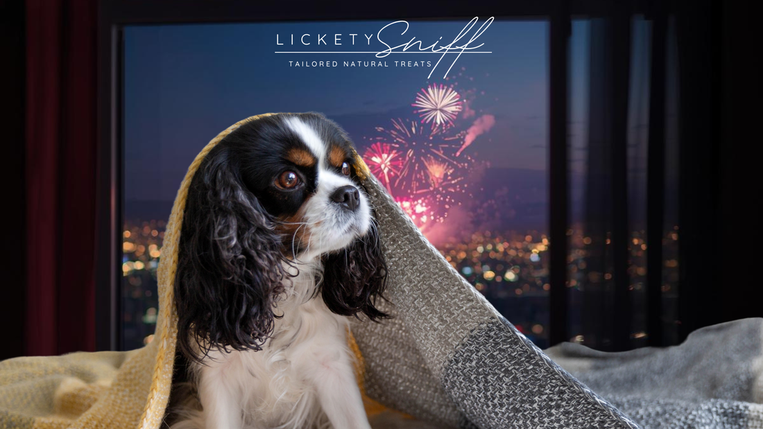 Boom! Crackle! Pop! Bonfire Night, Fireworks, and Keeping Your Furry Friends Safe.