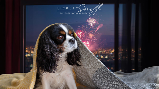 Boom! Crackle! Pop! Bonfire Night, Fireworks, and Keeping Your Furry Friends Safe.