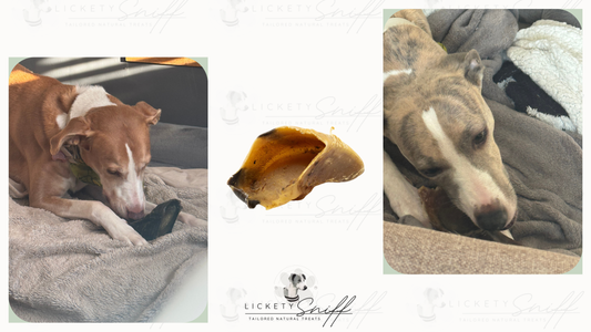 Why Hooves & Hard Chews Are Great for Dogs — And How to Use Them Safely