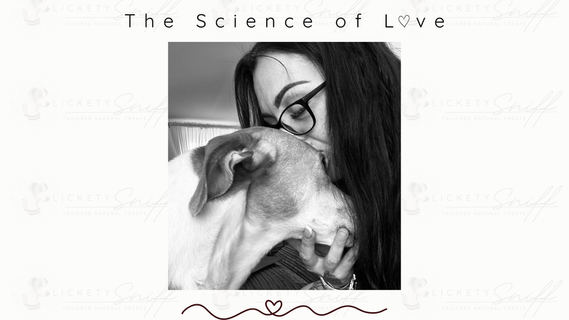 The Science of Love: How Dogs and Humans Bond 🧠