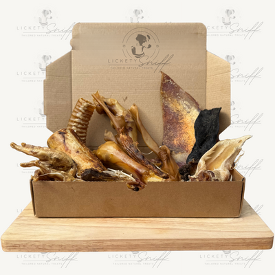 Balanced Bites Bundle