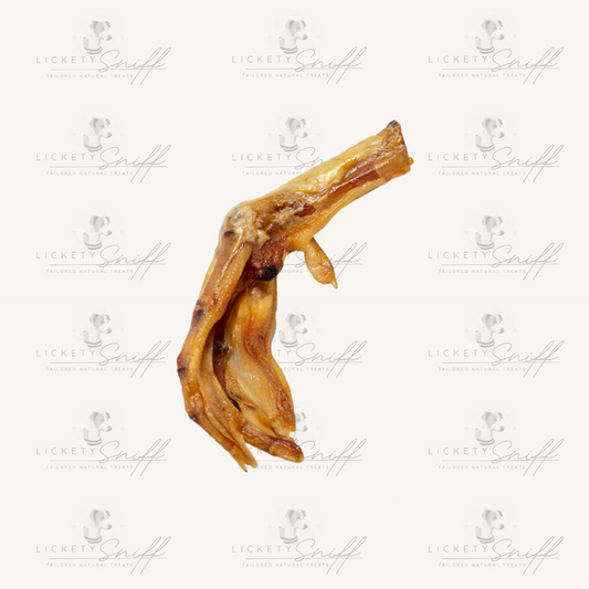 Duck Feet