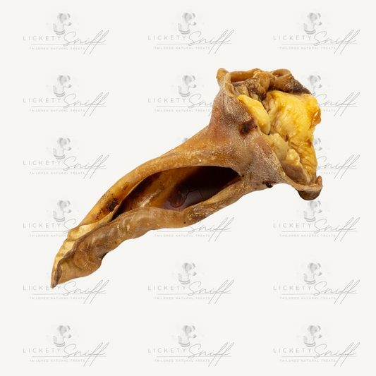 Lamb Ears - No Fur