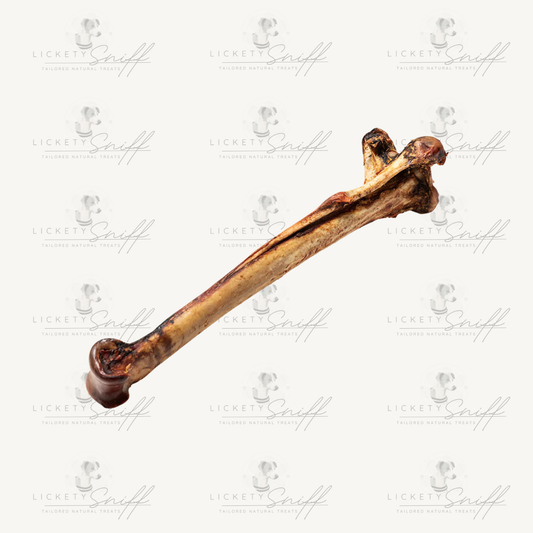 Long Ostrich Bones